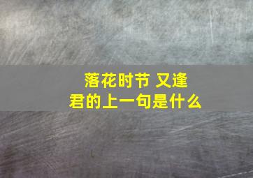 落花时节 又逢君的上一句是什么